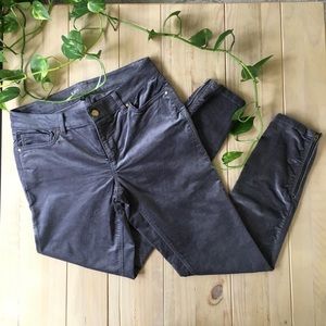 White House Black Market Lilac Velvet Pants